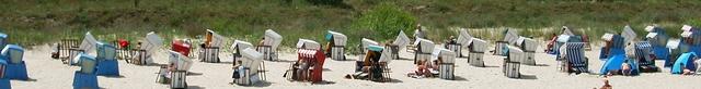 Rapsfeld auf Usedom